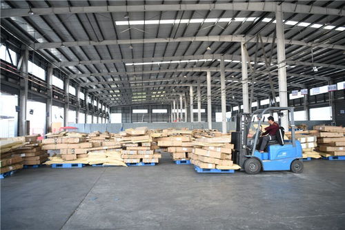 昔日破爛村，今朝變美致富曲——室內(nèi)裝飾材料銷售引領鄉(xiāng)村振興