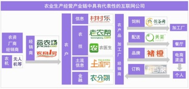 從美日現(xiàn)代農(nóng)業(yè)發(fā)展進(jìn)程，看互聯(lián)網(wǎng)將如何改造中國(guó)的農(nóng)業(yè)技術(shù)服務(wù)——以河南為例
